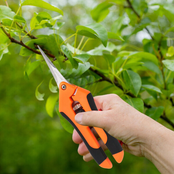 Curved-blade Orange Shears