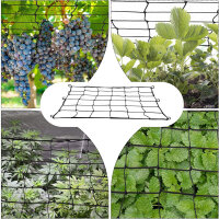 50x50cm Plant Net