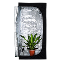 Intelligent Grow Box Set 80x80x160 cm 100W LED Grow Tent for Home Cultivation