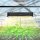 Growbox Complete Set LED 60x60X140cm Greenhouse Growtent Grow Tent with 100W Full Spectrum Dimmable Light