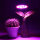 MGL78 50W Full Spectrum LED Plant Light